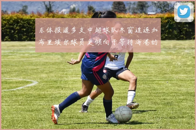 东体报道多支中超球队冬窗追逐加布里埃尔球员更倾向于等待海港的机会