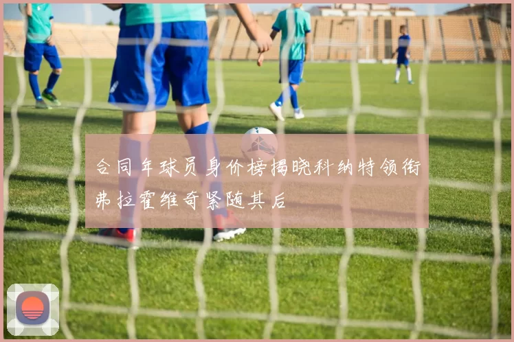 合同年球员身价榜揭晓科纳特领衔弗拉霍维奇紧随其后