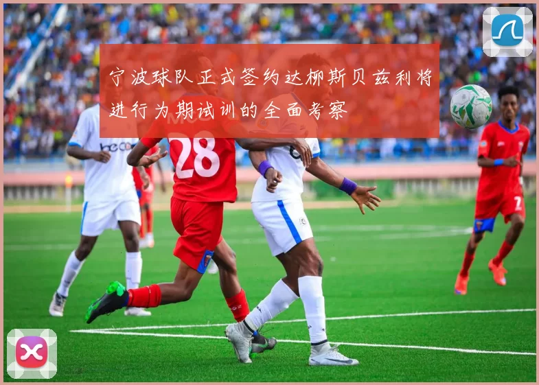 宁波球队正式签约达柳斯贝兹利将进行为期试训的全面考察