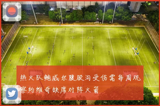 热火队鲍威尔腹股沟受伤需每周观察约维奇缺席对阵火箭